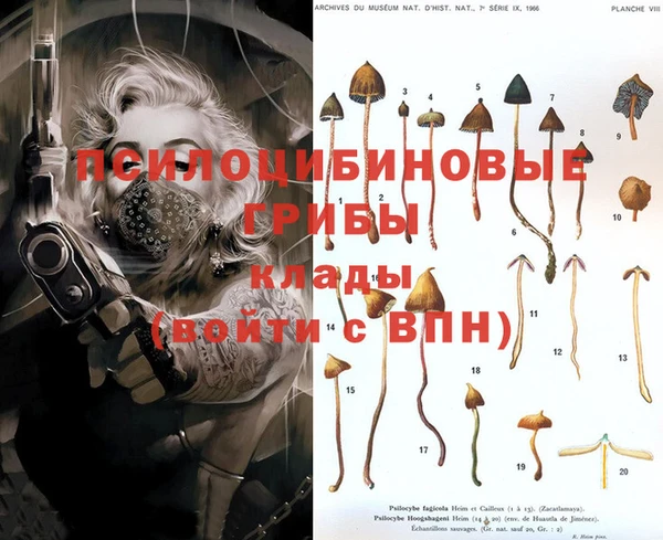 круглые Новокубанск