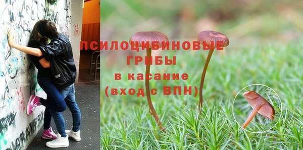 бутират Новозыбков