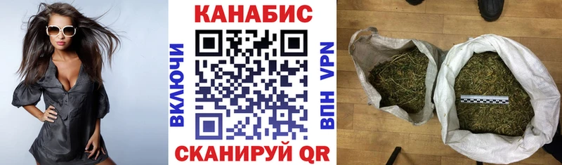 закладка  Пучеж  omg зеркало  Каннабис ГИДРОПОН 